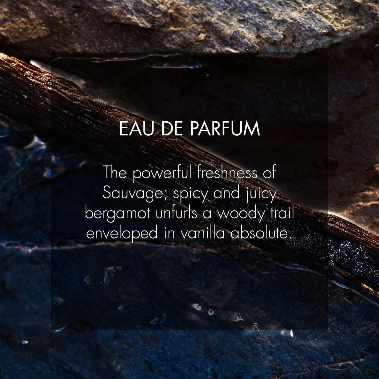 Sauvage - Eau de Parfum